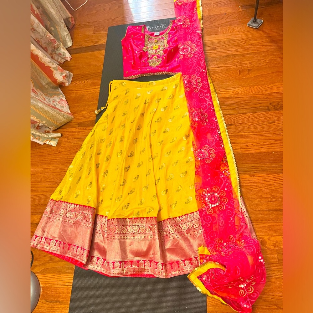 Skirt and crop top- Lehenga